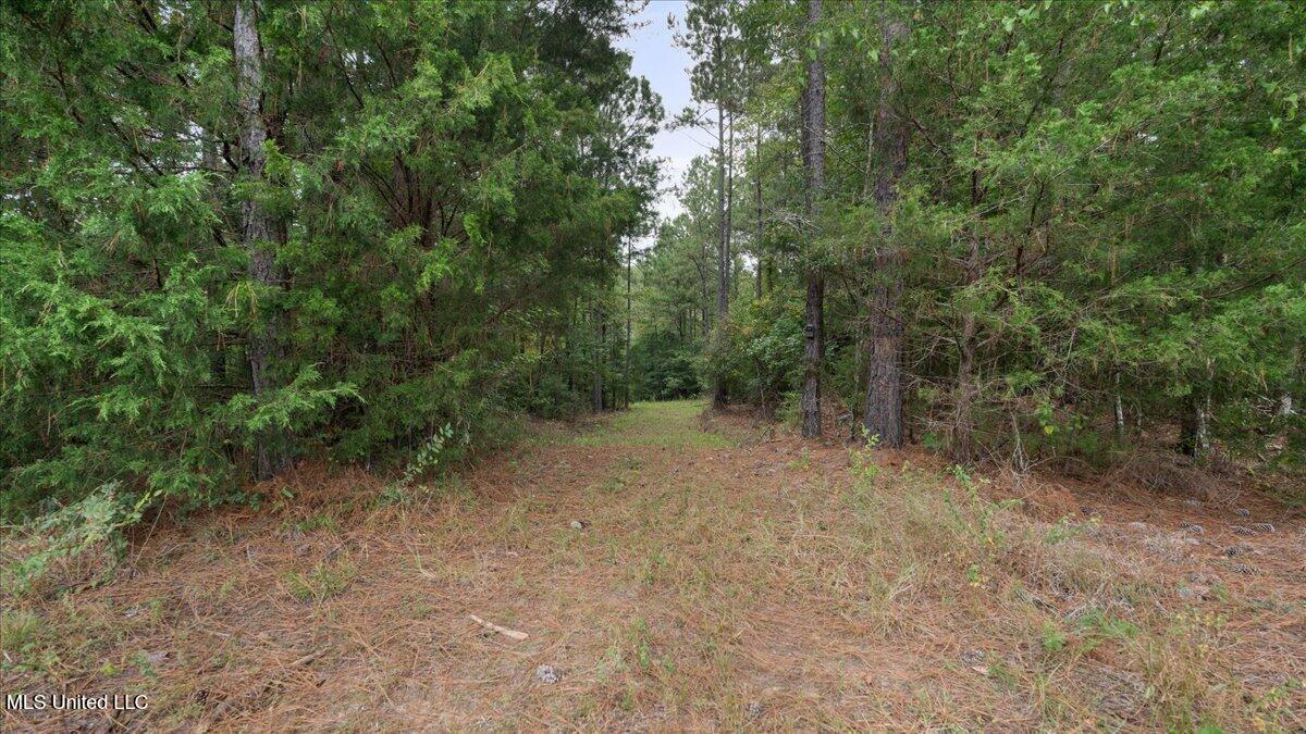 1270 Highway 469 Florence, MS 39073 - Photo 5 of 26 01-IMG_3163