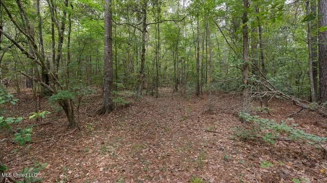 $449,900 | 1270 Highway 469, Florence, MS 39073