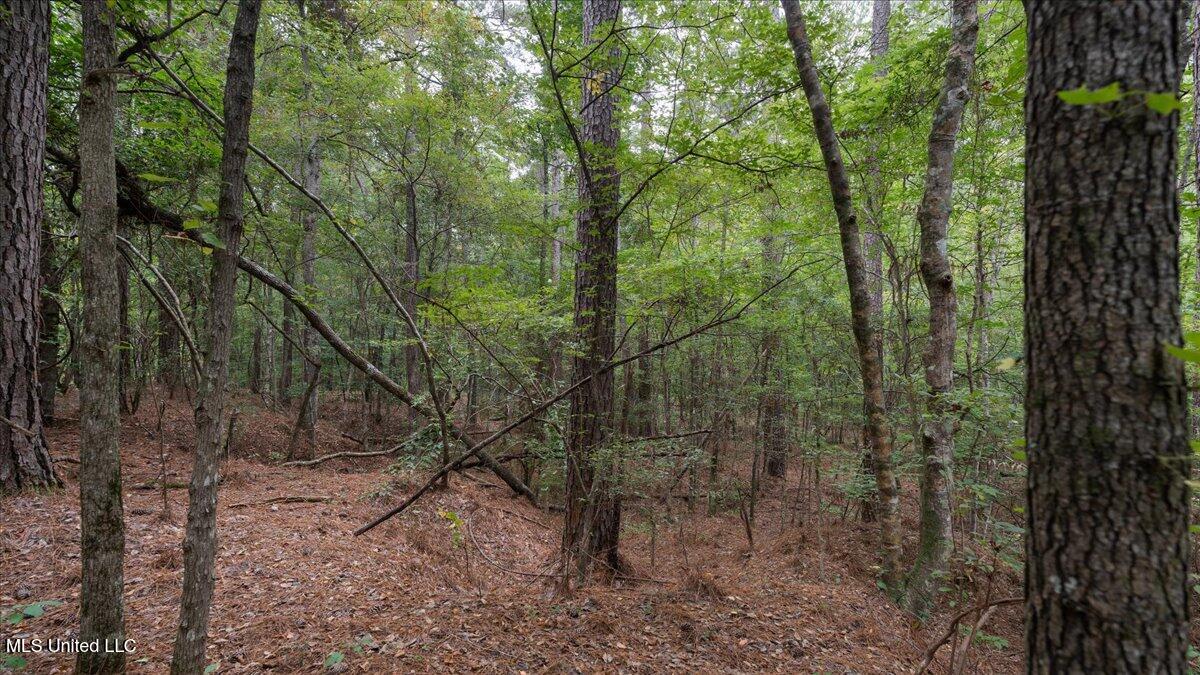 1270 Highway 469 Florence, MS 39073 - Photo 7 of 26 04-IMG_3156
