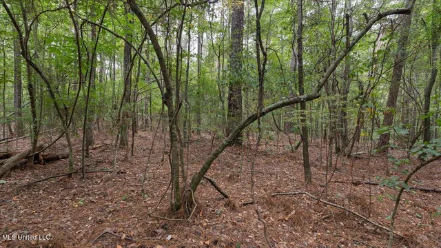 $449,900 | 1270 Highway 469, Florence, MS 39073