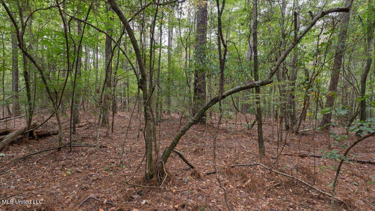 1270 Highway 469 Florence, MS 39073 - Photo 8 of 26 05-IMG_3149