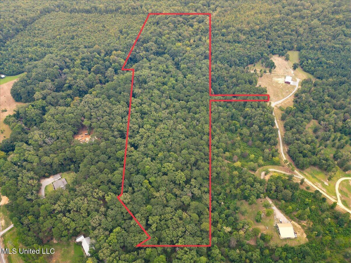 1270 Highway 469 Florence, MS 39073 - Photo 9 of 26 06-IMG_3162