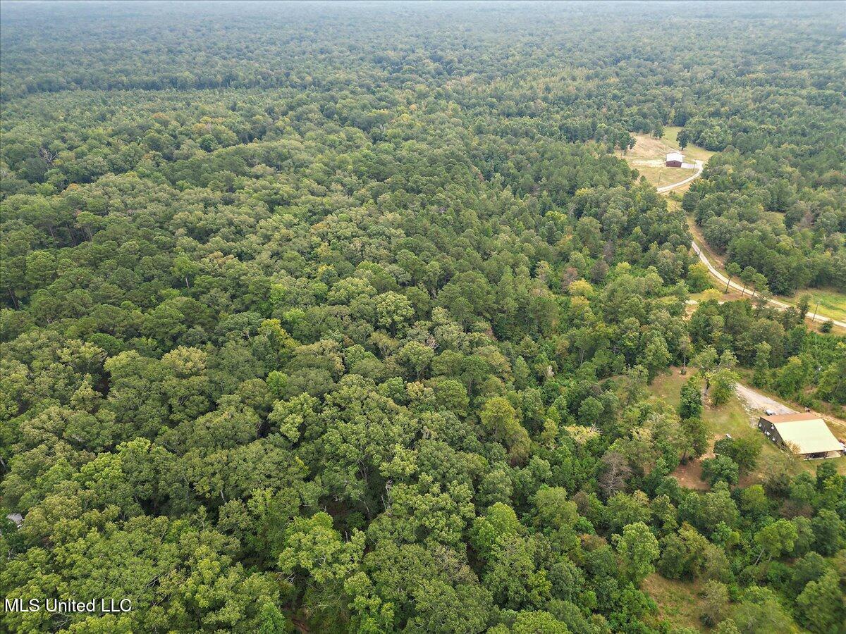 1270 Highway 469 Florence, MS 39073 - Photo 10 of 26 07-IMG_3157