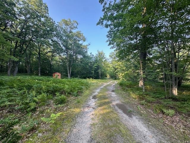 Parcel G South Brown Road Cadillac, MI 49601 - Photo 13 of 15