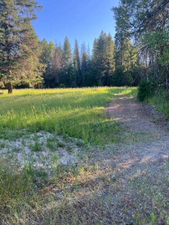 Xxx-tbd Graham Road Cusick, WA 99119 - Photo 2 of 6