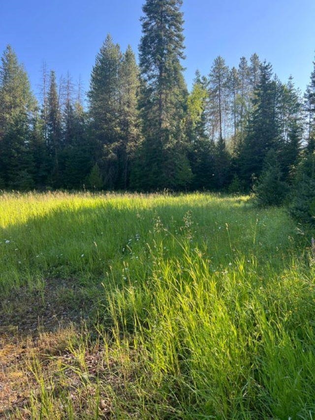 Xxx-tbd Graham Road Cusick, WA 99119 - Photo 3 of 6
