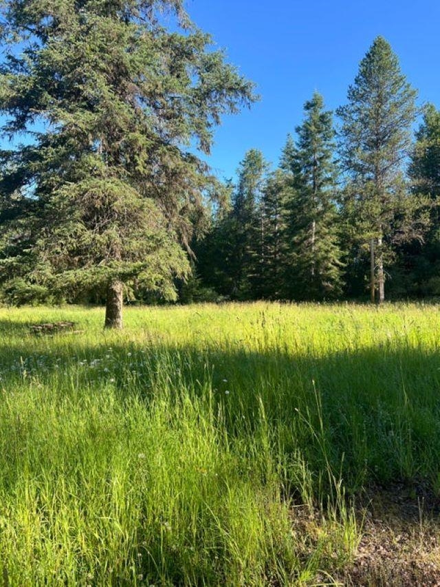 Xxx-tbd Graham Road Cusick, WA 99119 - Photo 4 of 6