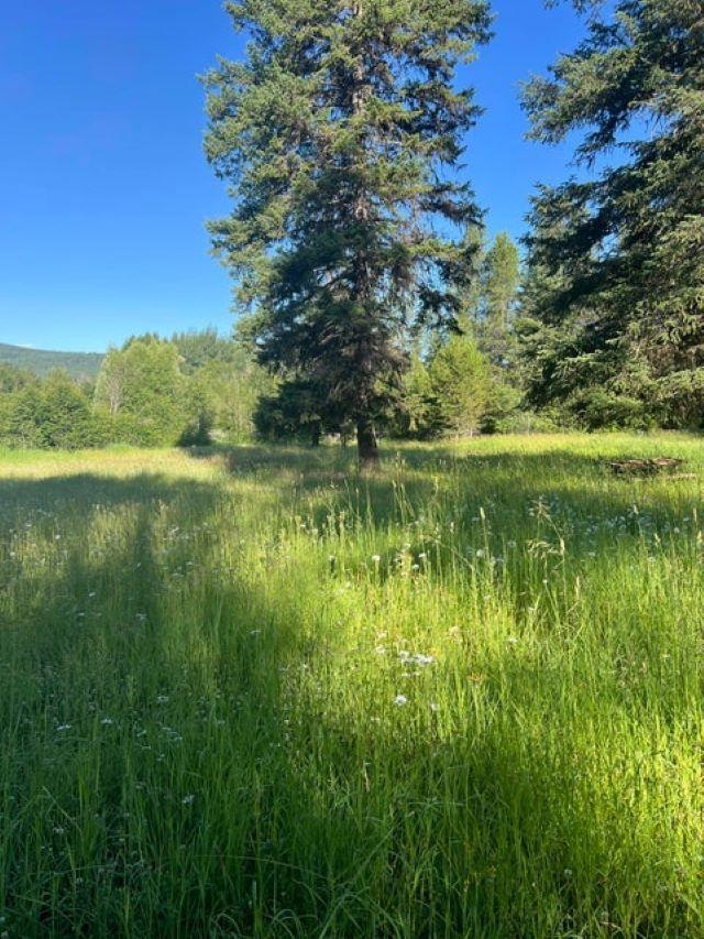 Xxx-tbd Graham Road Cusick, WA 99119 - Photo 5 of 6