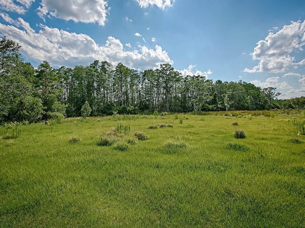 10-acres Florida Boys Ranch Road, Unit TRACT 9 Clermont, FL 34711 - Photo 1 of 1