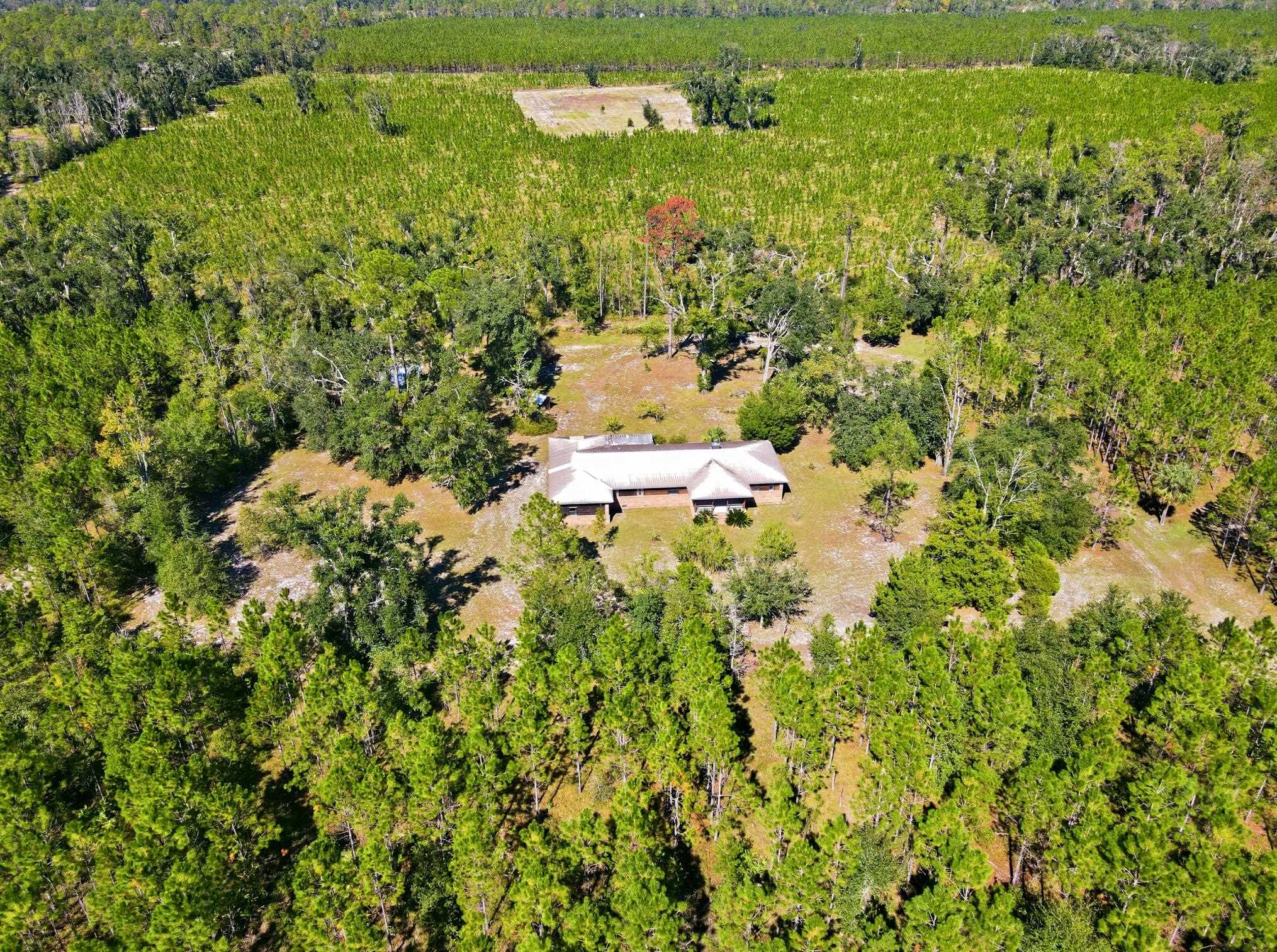 154 Davis Walker Road Perry, FL 32348 - Photo 9 of 44