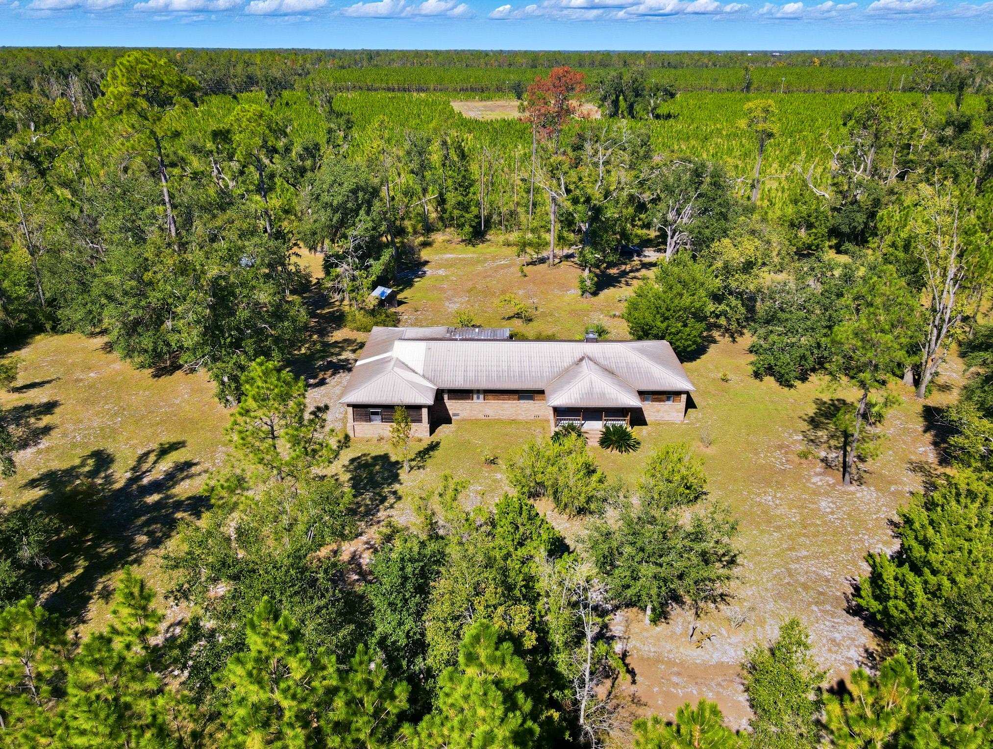 154 Davis Walker Road Perry, FL 32348 - Photo 10 of 44