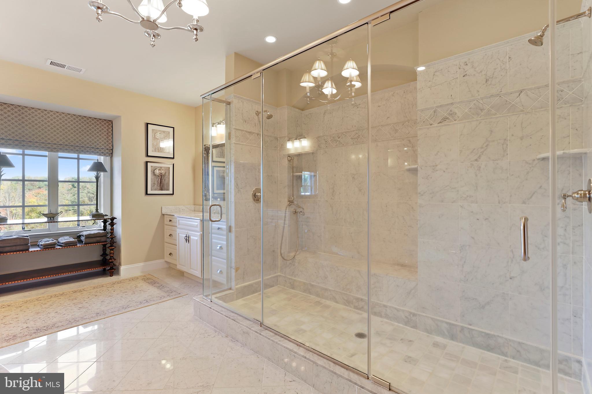 12203 Worthington Road Owings Mills, MD 21117 - Photo 40 of 75 Primary Bath Dual-access Shower Stall