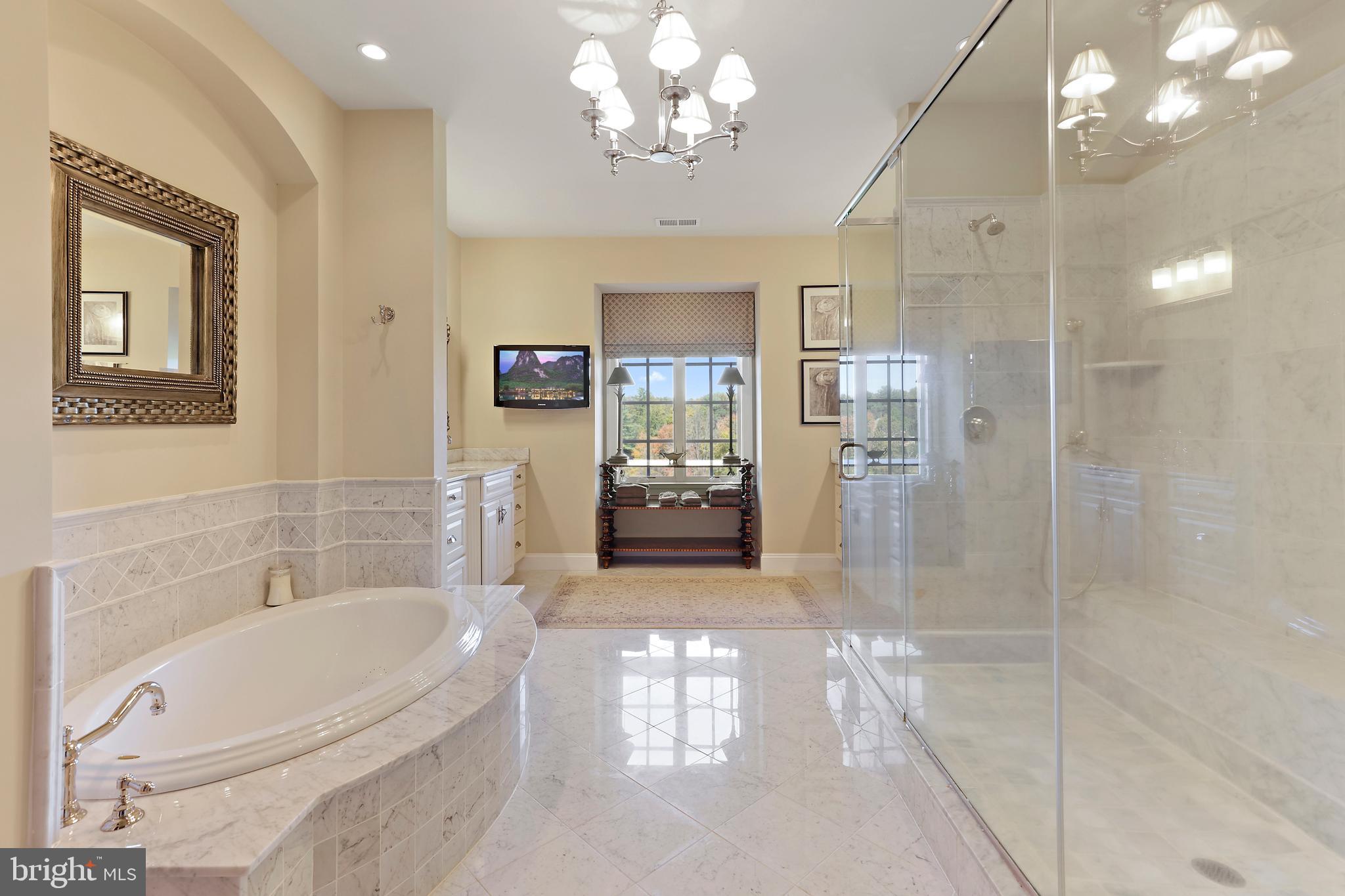 12203 Worthington Road Owings Mills, MD 21117 - Photo 41 of 75 Primary Bath