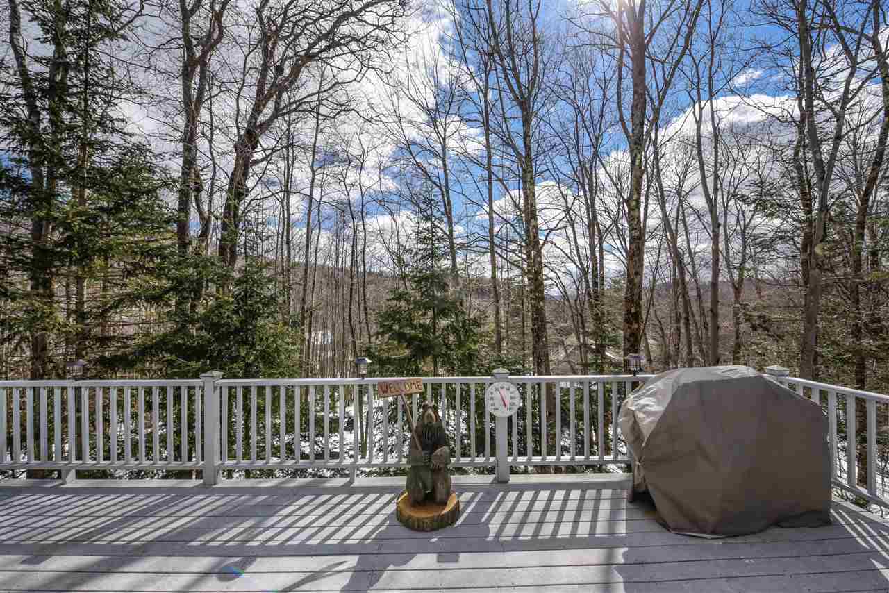 16 Joan's Ridge Road West Dover, VT 05356 - Photo 18 of 18