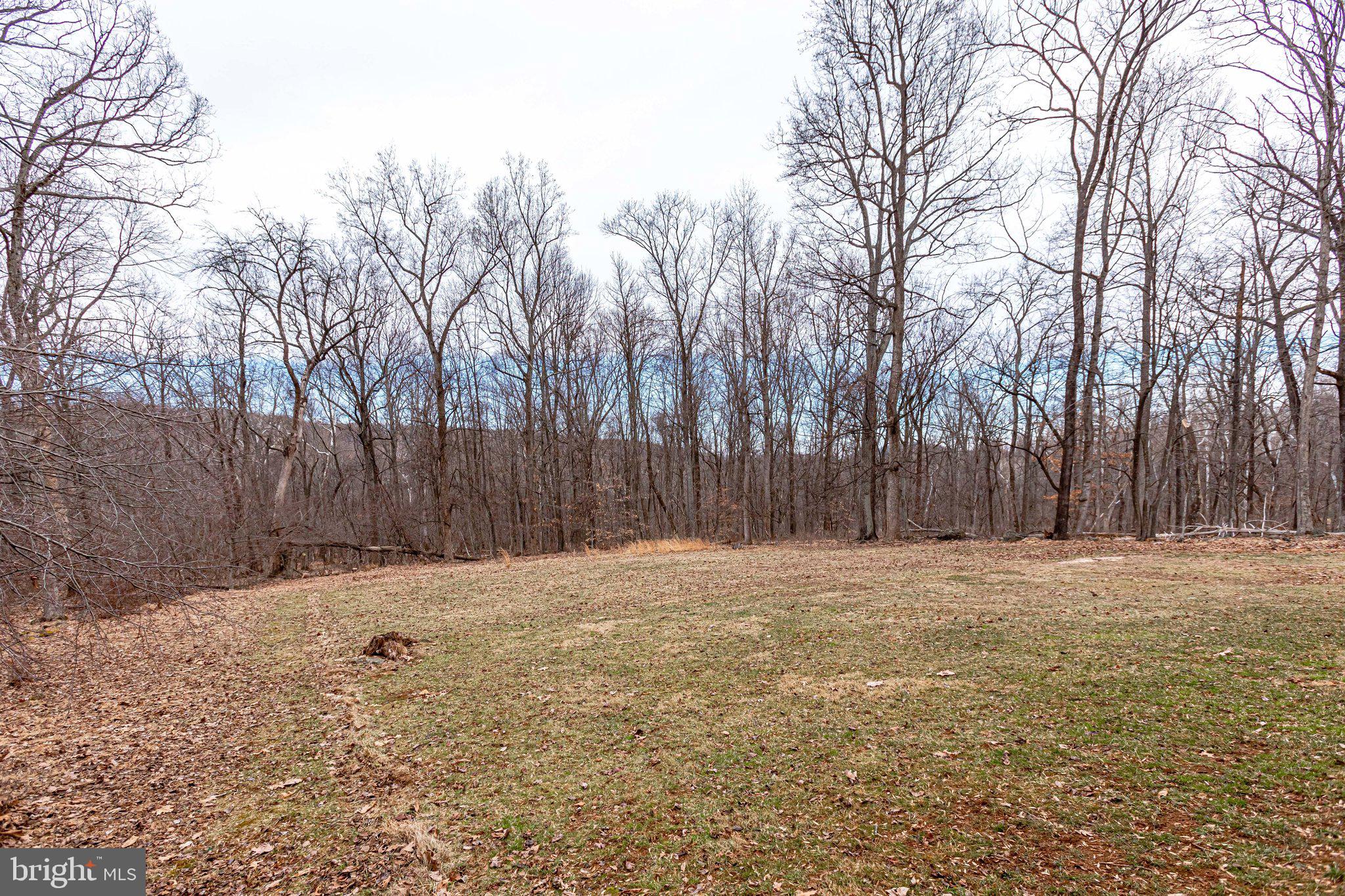 480 Greenfield Road Front Royal, VA 22630 - Photo 52 of 63 Gallery Image 52
