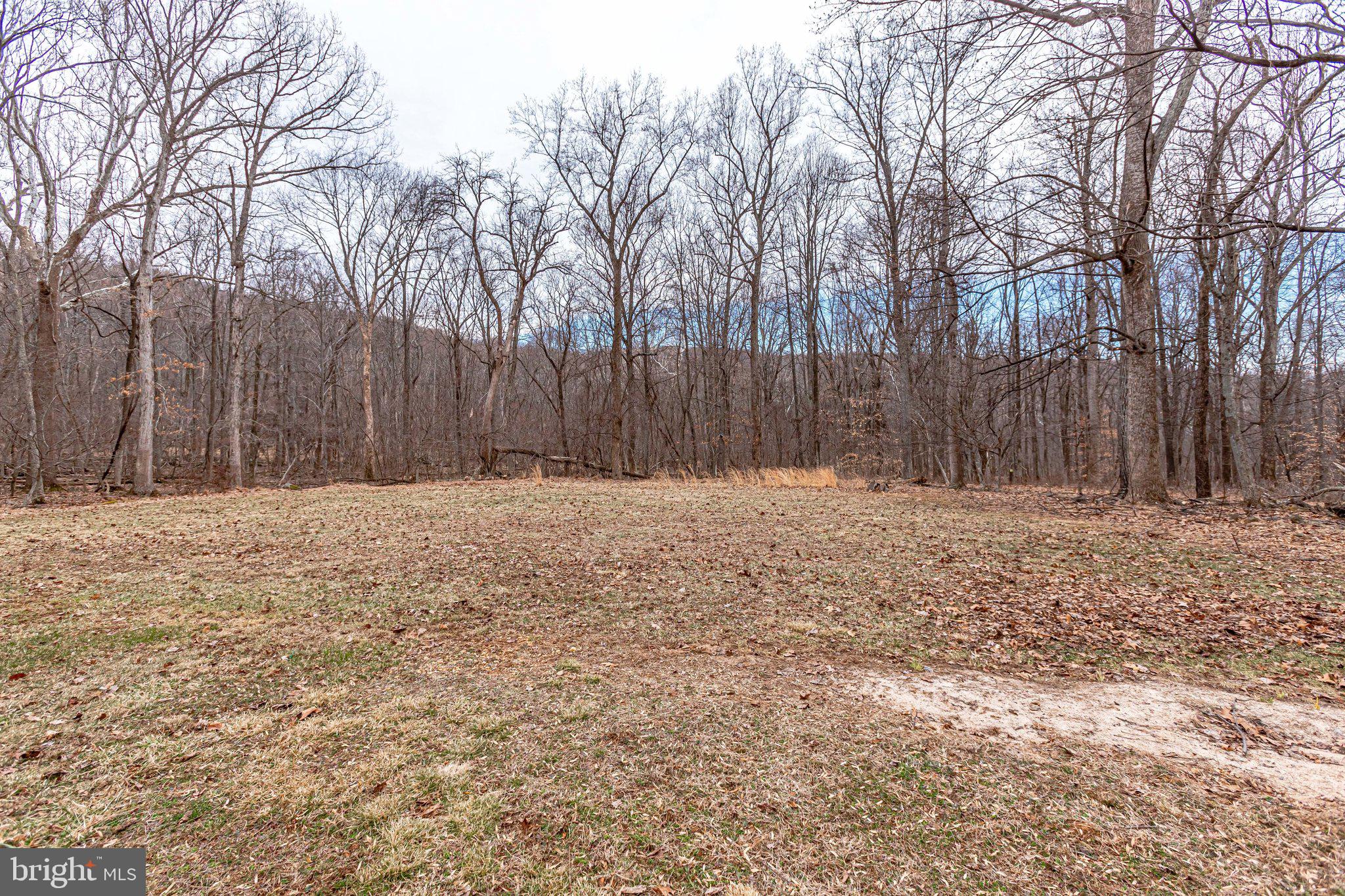 480 Greenfield Road Front Royal, VA 22630 - Photo 58 of 63 Gallery Image 58