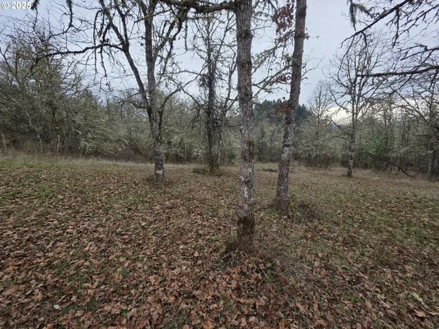 $299,900 | 339 Justa Lane, Sutherlin, OR 97479