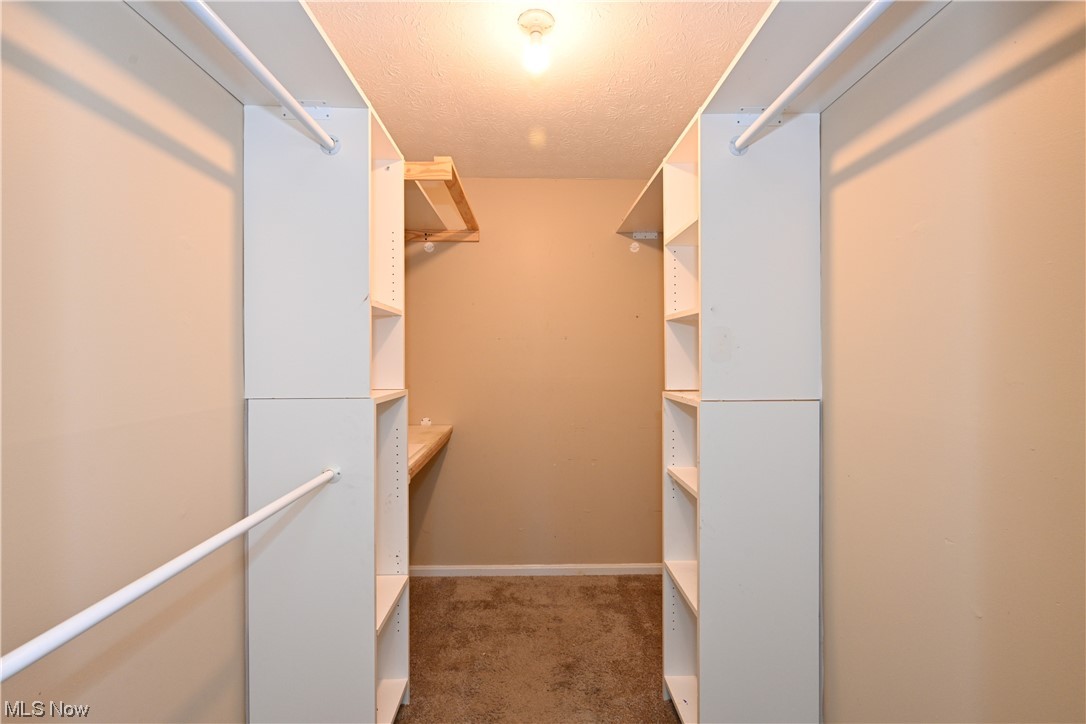 28140 Detroit Road, Unit A1 Westlake, OH 44145 - Photo 20 of 30 Walk in closet featuring carpet
