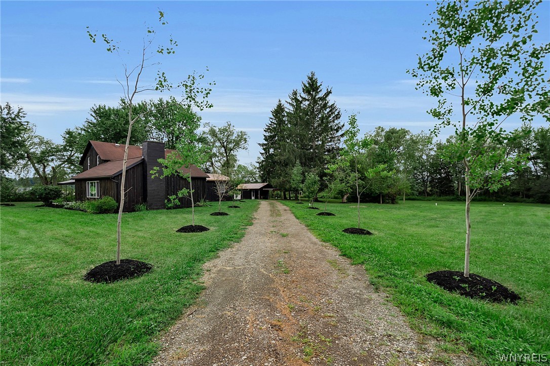 11544 Gowanda State Road North Collins, NY 14111 - Photo 8 of 50 Gallery Image 8