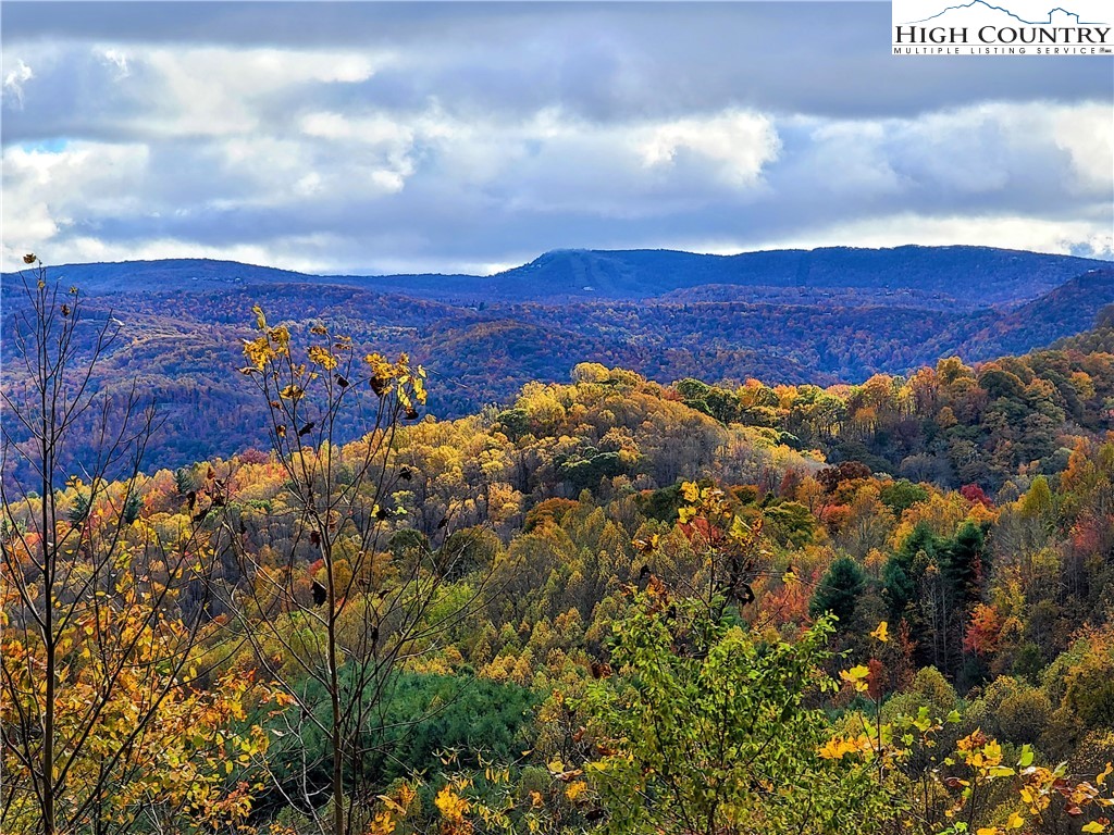 Clark Swift Road Vilas, NC 28692 - Photo 1 of 42 Gallery Image 1