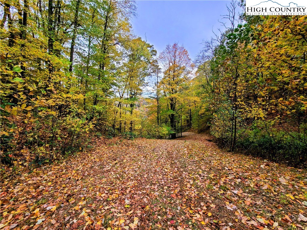 Clark Swift Road Vilas, NC 28692 - Photo 11 of 42 Gallery Image 11