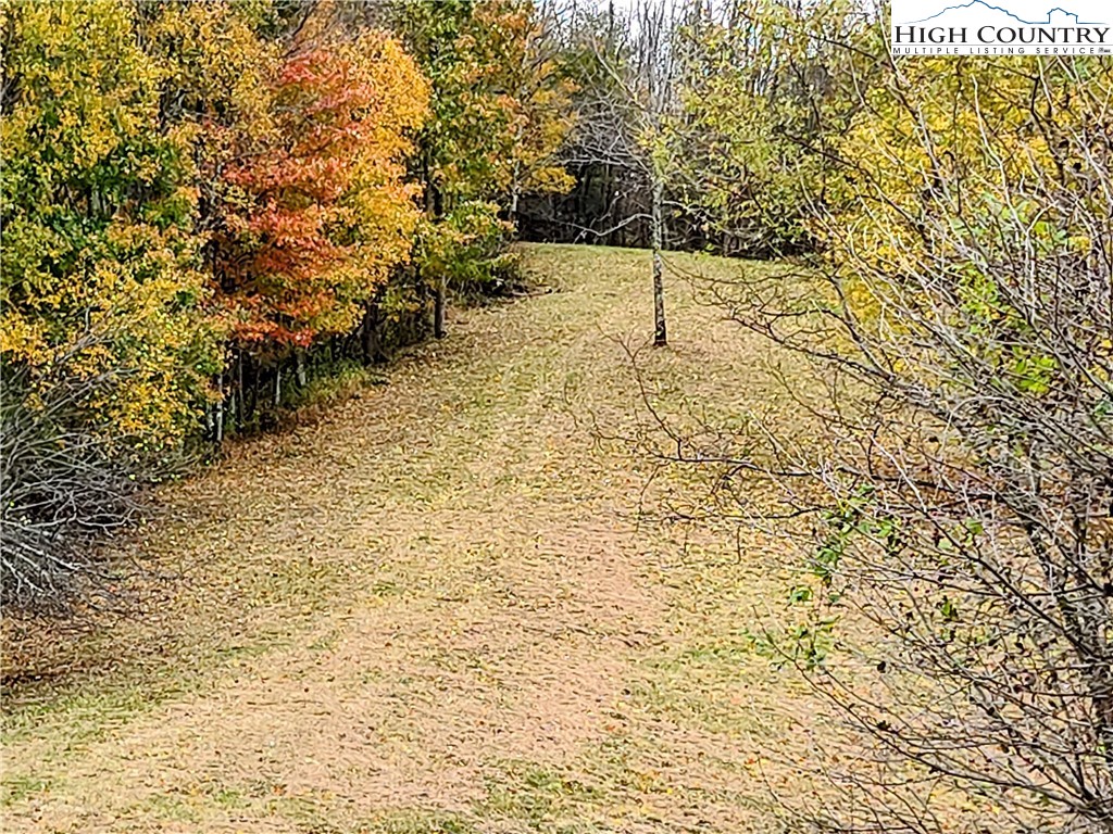 Clark Swift Road Vilas, NC 28692 - Photo 13 of 42 Gallery Image 13