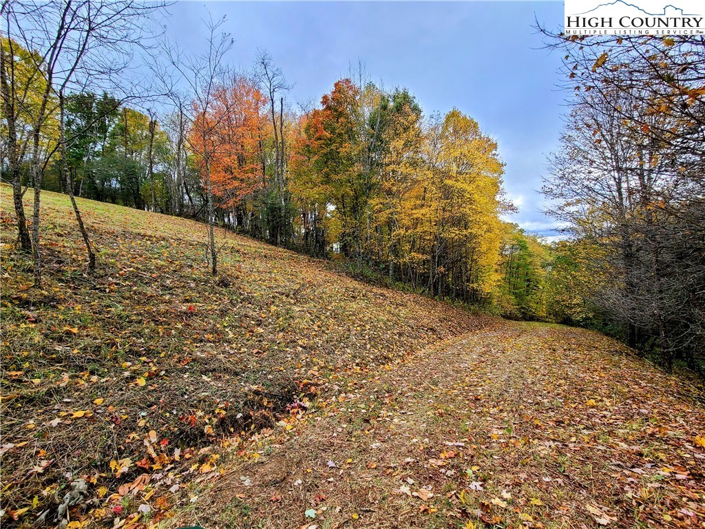 Clark Swift Road Vilas, NC 28692 - Photo 18 of 42 Gallery Image 18
