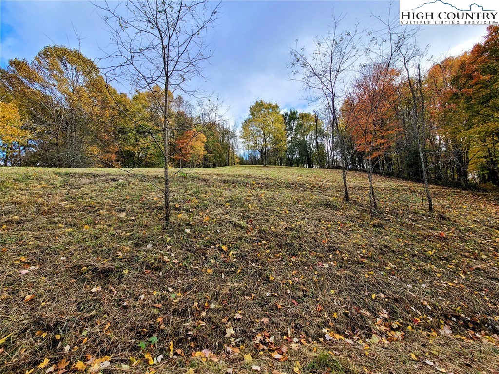 Clark Swift Road Vilas, NC 28692 - Photo 19 of 42 Gallery Image 19