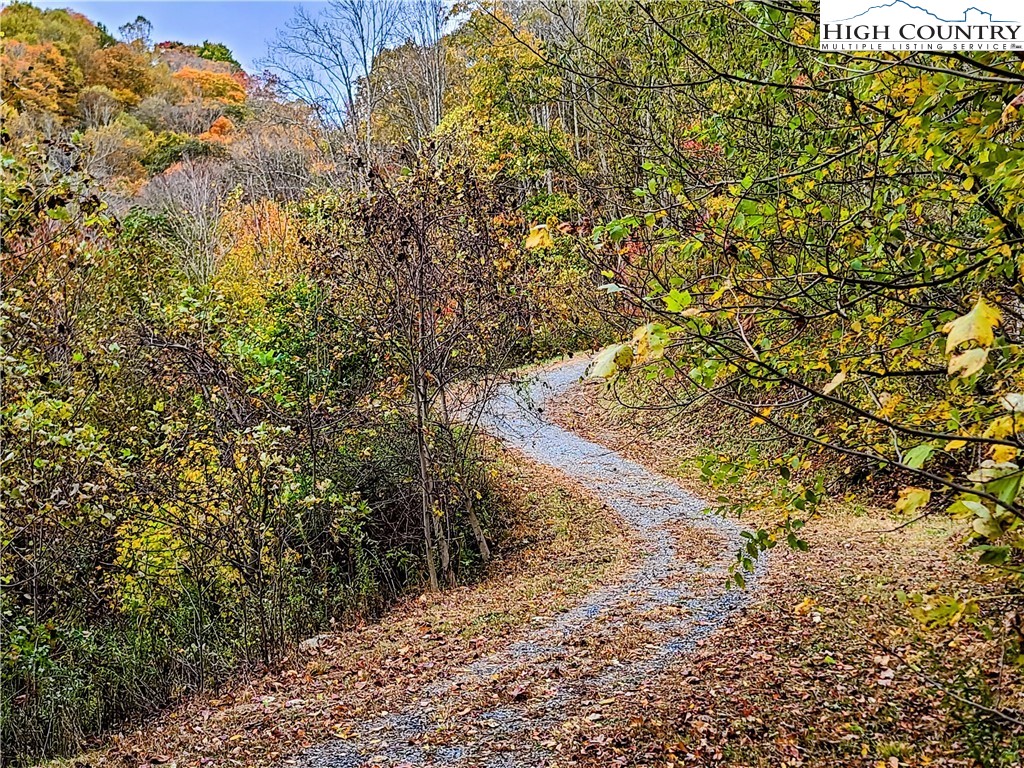 Clark Swift Road Vilas, NC 28692 - Photo 2 of 42 Gallery Image 2