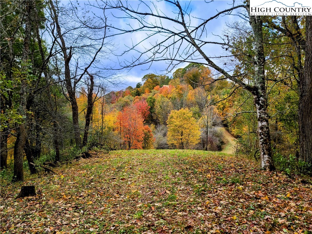 Clark Swift Road Vilas, NC 28692 - Photo 21 of 42 Gallery Image 21
