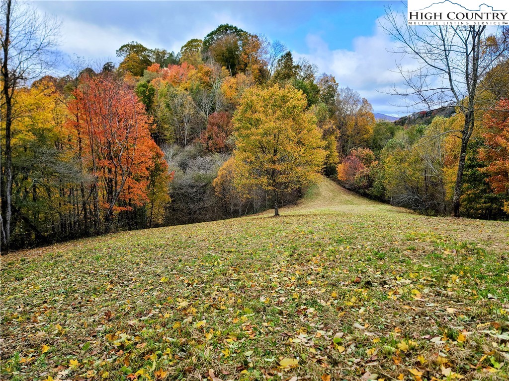 Clark Swift Road Vilas, NC 28692 - Photo 22 of 42 Gallery Image 22