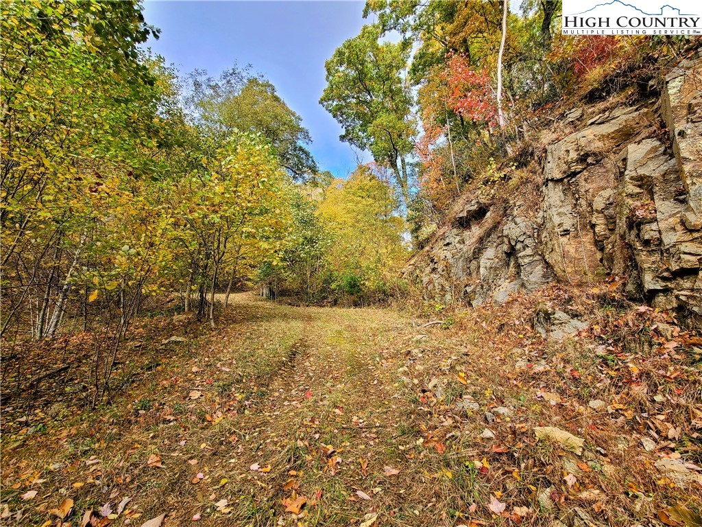 Clark Swift Road Vilas, NC 28692 - Photo 24 of 42 Gallery Image 24