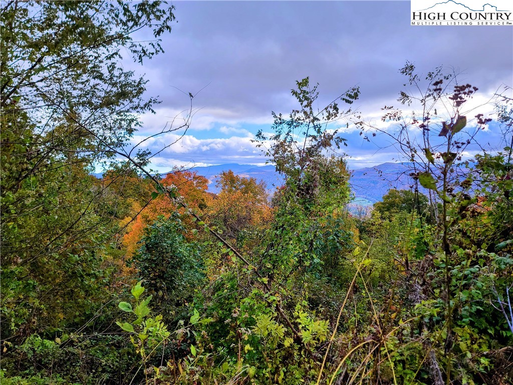 Clark Swift Road Vilas, NC 28692 - Photo 28 of 42 Gallery Image 28