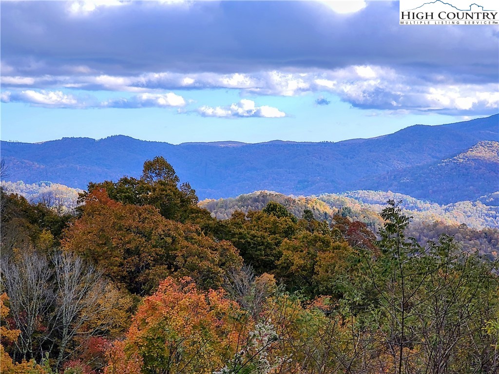 Clark Swift Road Vilas, NC 28692 - Photo 29 of 42 Gallery Image 29