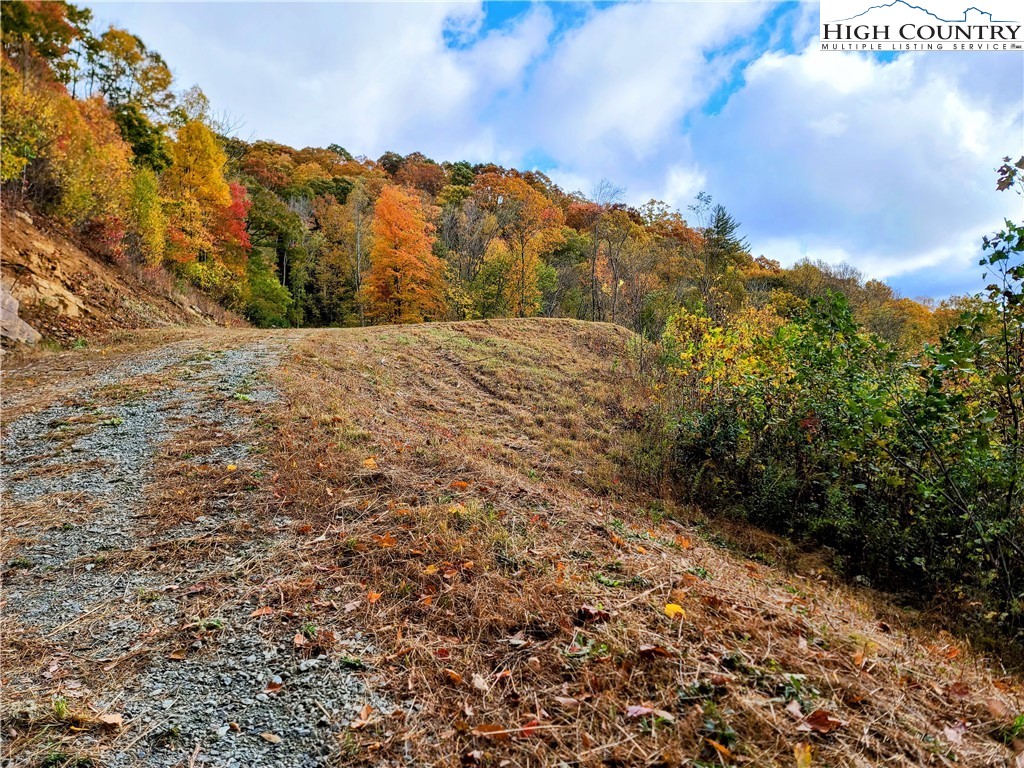 Clark Swift Road Vilas, NC 28692 - Photo 3 of 42 Gallery Image 3