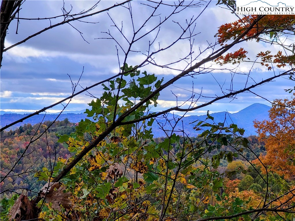 Clark Swift Road Vilas, NC 28692 - Photo 33 of 42 Gallery Image 33