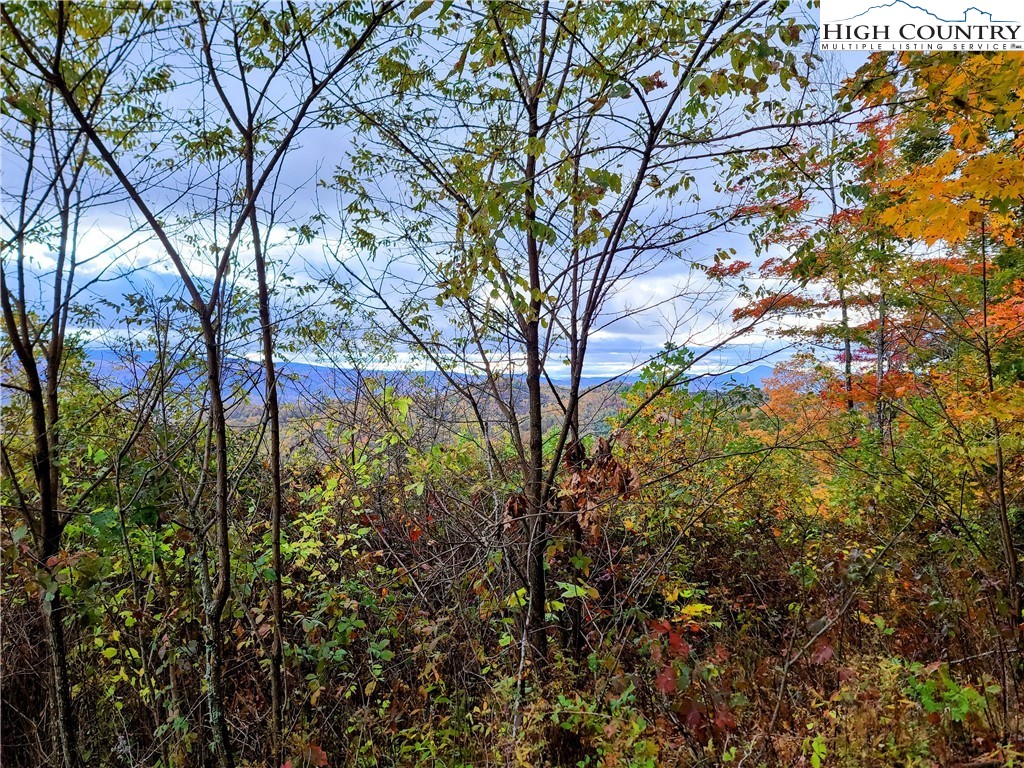 Clark Swift Road Vilas, NC 28692 - Photo 34 of 42 Gallery Image 34