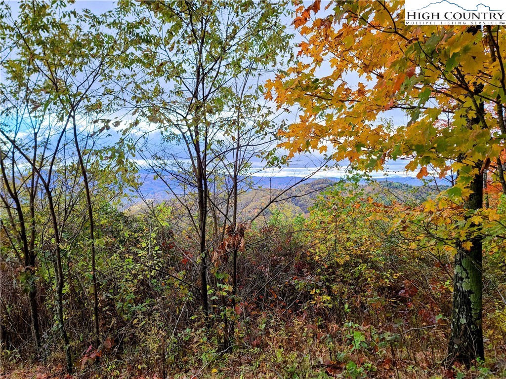 Clark Swift Road Vilas, NC 28692 - Photo 35 of 42 Gallery Image 35