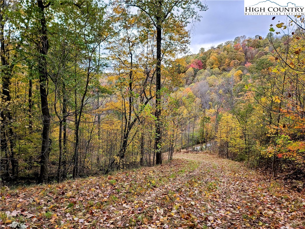 Clark Swift Road Vilas, NC 28692 - Photo 41 of 42 Gallery Image 41