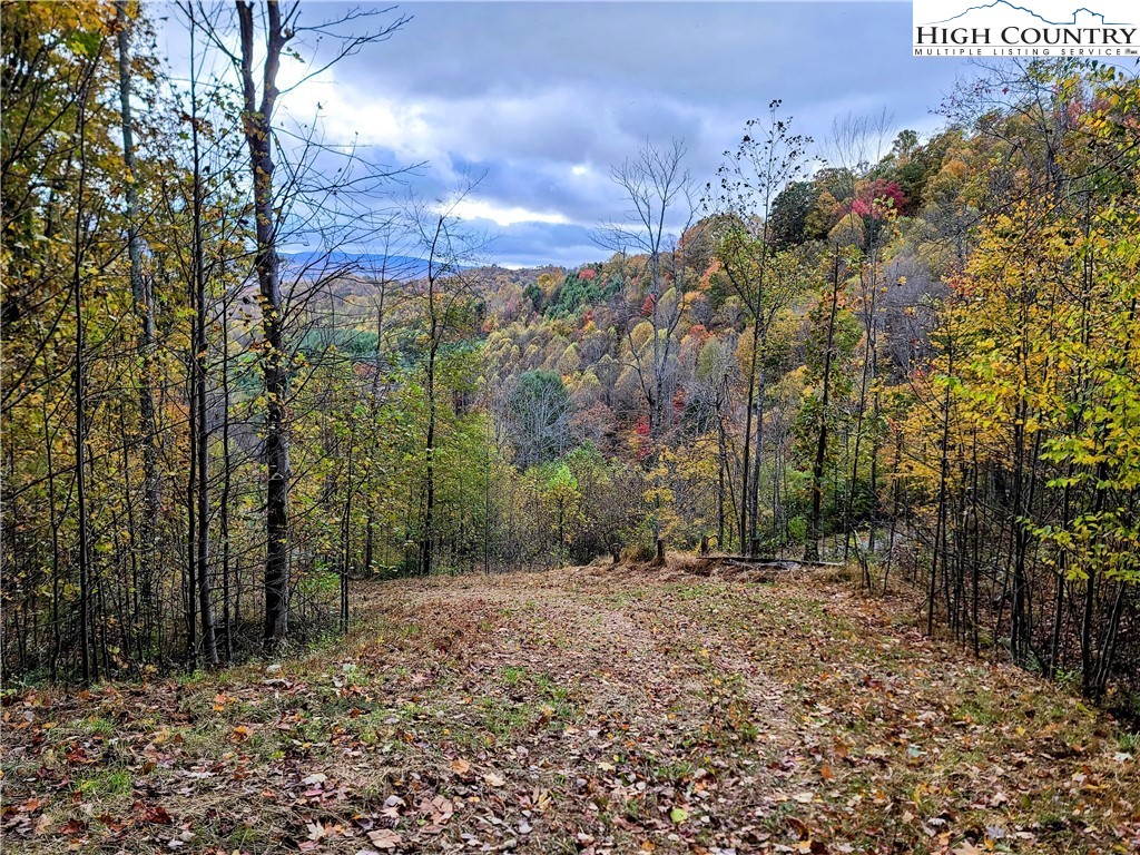 Clark Swift Road Vilas, NC 28692 - Photo 42 of 42 Gallery Image 42