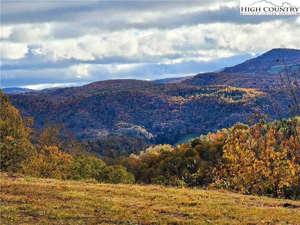 Clark Swift Road Vilas, NC 28692 - Photo 7 of 42 Gallery Image 7