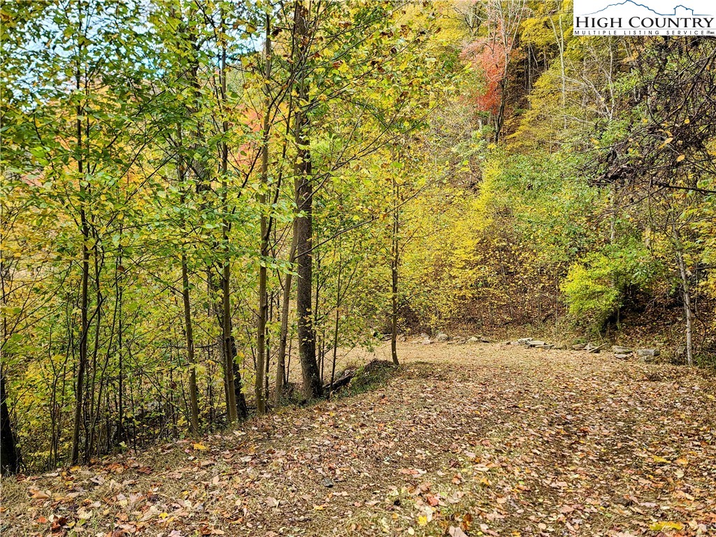 Clark Swift Road Vilas, NC 28692 - Photo 10 of 42 Gallery Image 10