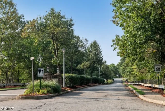 a view of a street with plants and trees