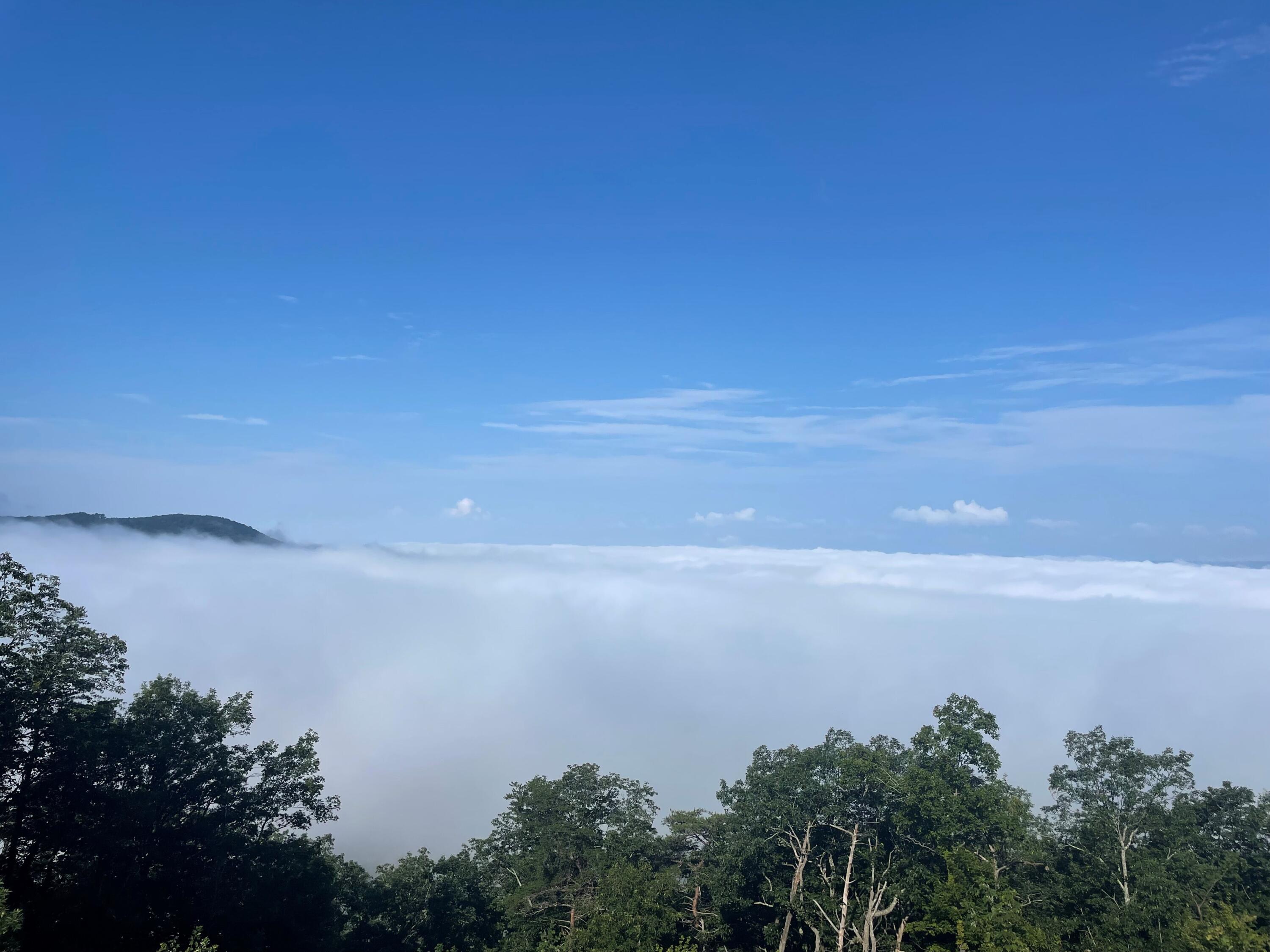 220 Blackburn Road Pikeville, TN 37367 - Photo 8 of 50 LIFE ABOVE THE CLOUDS