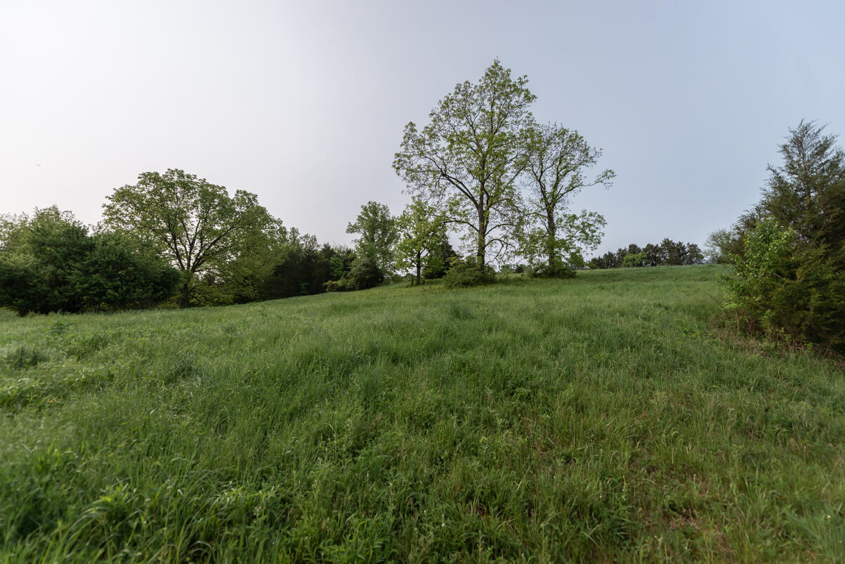 4359 Camp Pleasant Road Frankfort, KY 40601 - Photo 35 of 36 Tonya418-36