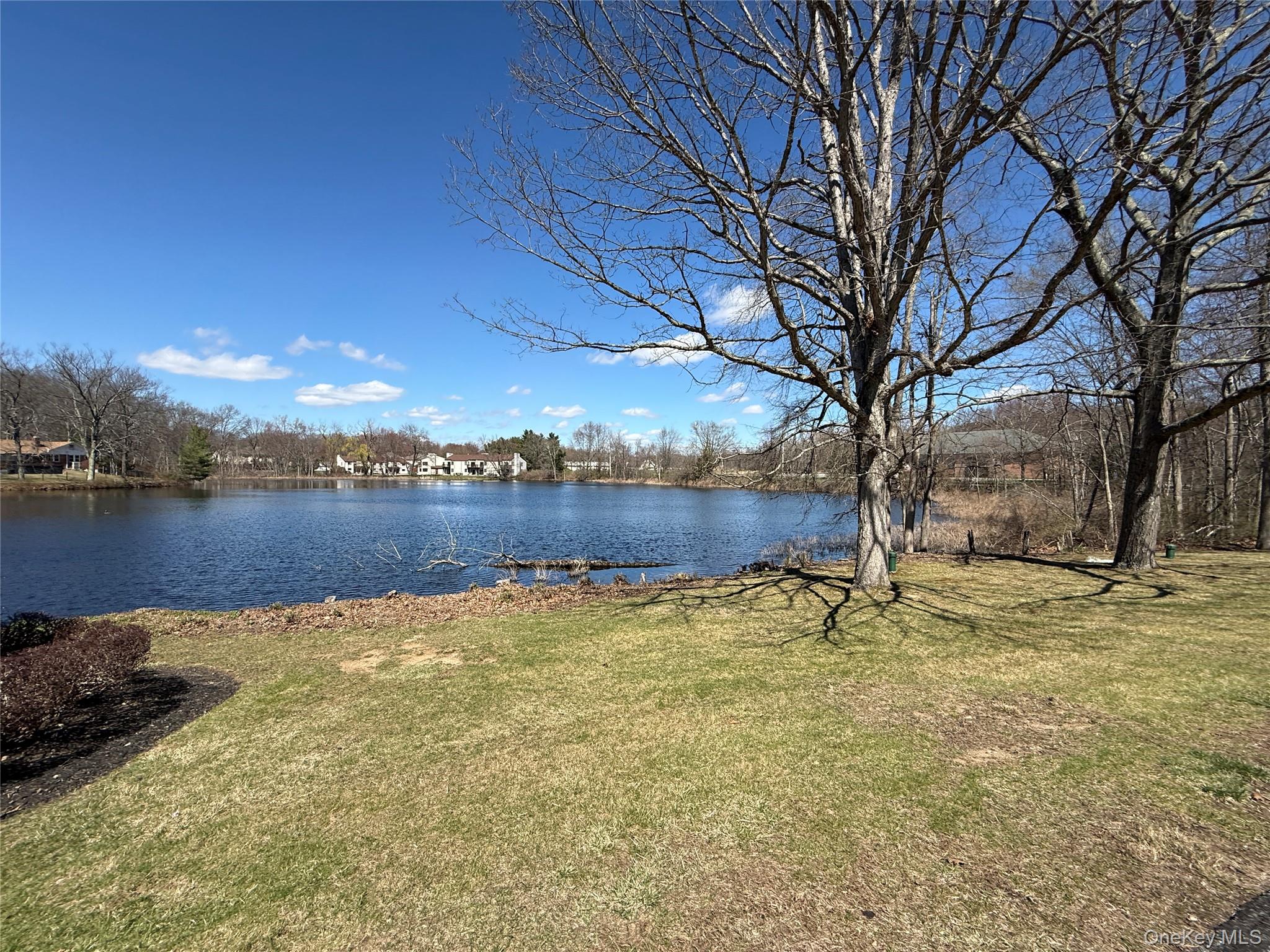 119 Stringham Road, Unit 37 LaGrangeville, NY 12540 - Photo 49 of 50