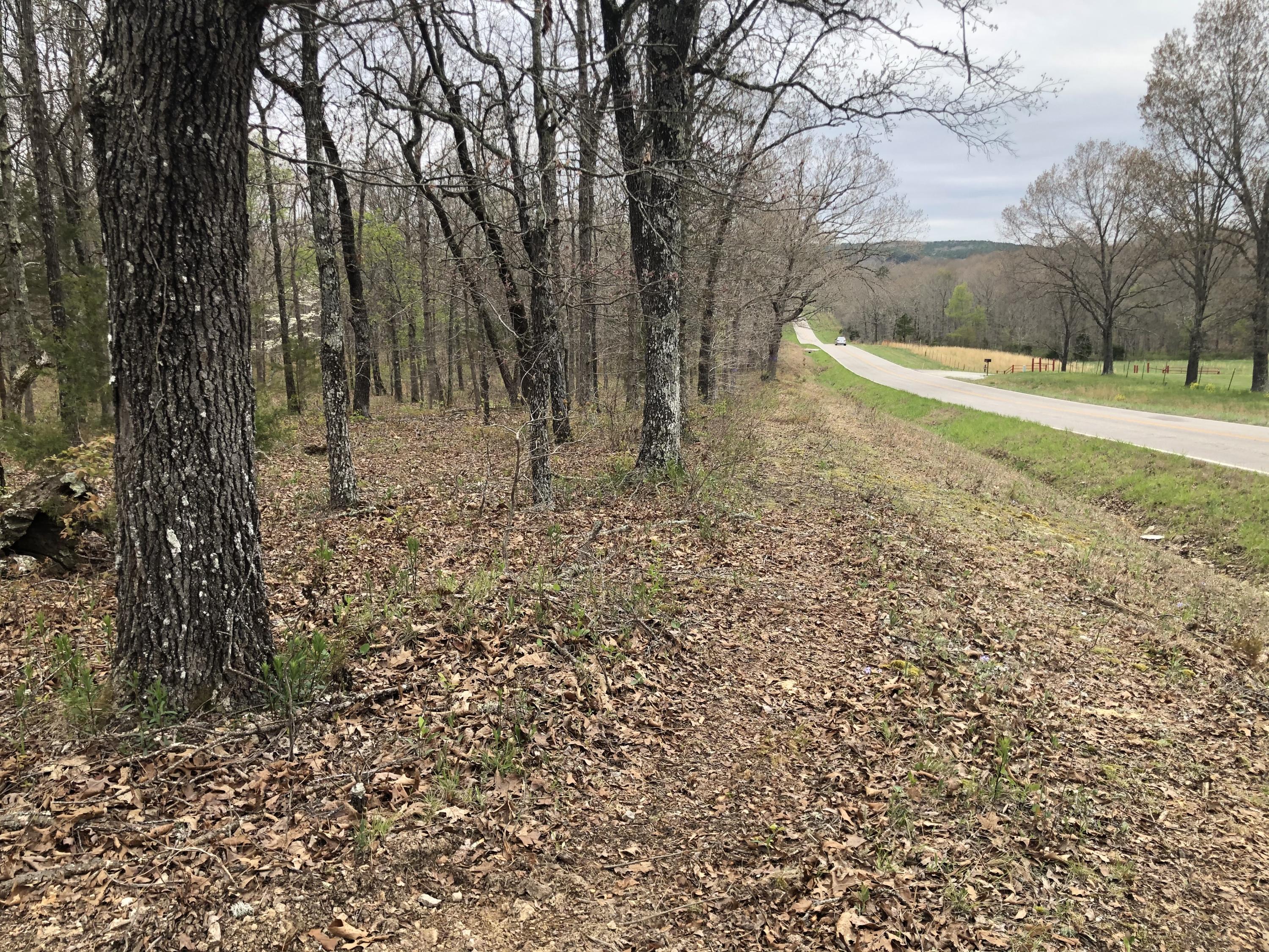 3000 State Rte P Willow Springs, MO 65793 - Photo 1 of 1 IMG_3797