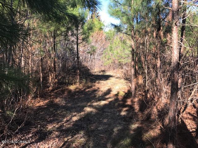 13.79 Pasture Gate Road Macon, NC 27551 - Photo 23 of 25 26