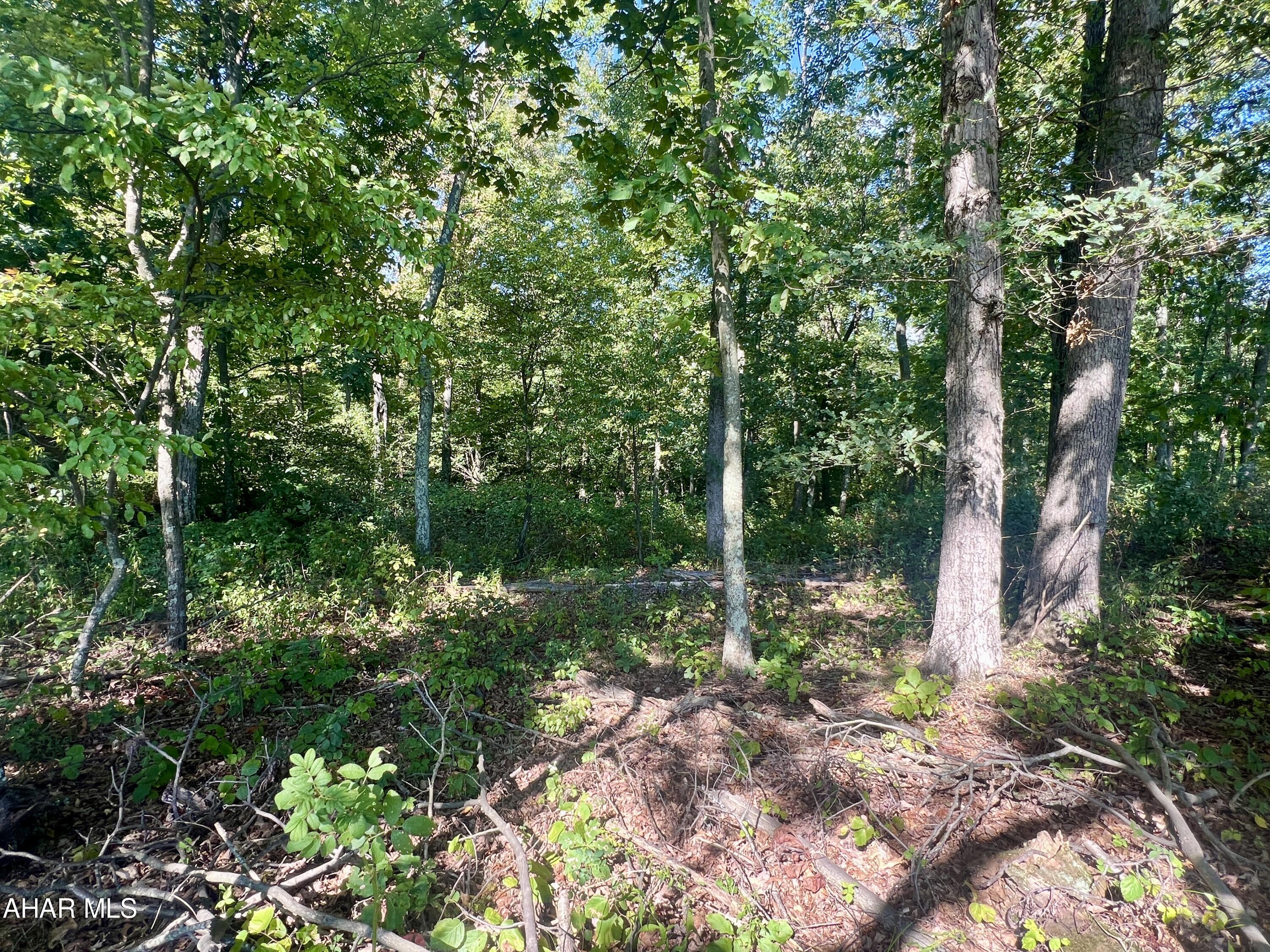 0 Addington Road Breezewood, PA 15533 - Photo 25 of 30
