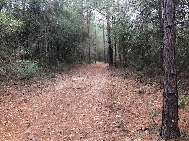 25-ac Gantt Road Andalusia, AL 36421 - Photo 2 of 36 Gallery Image 2